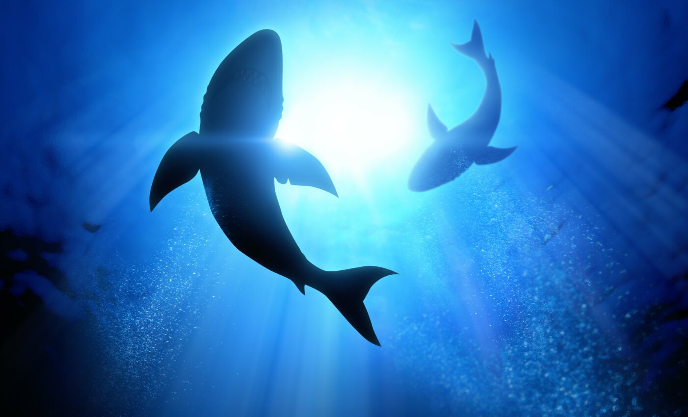 Fish create moving vortices to power their propulsion