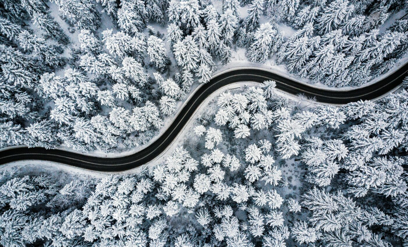 Climate change is shifting the Earth’s coldest forest northward