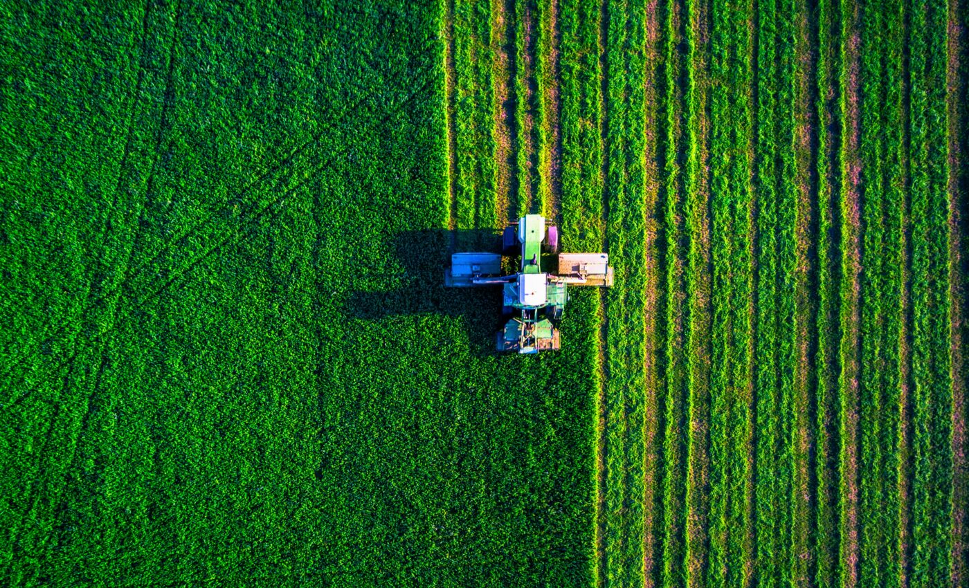 Could artificially intelligent machines take over food production?