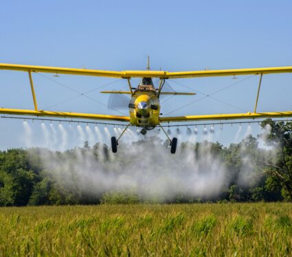 Pesticides2.jpg
