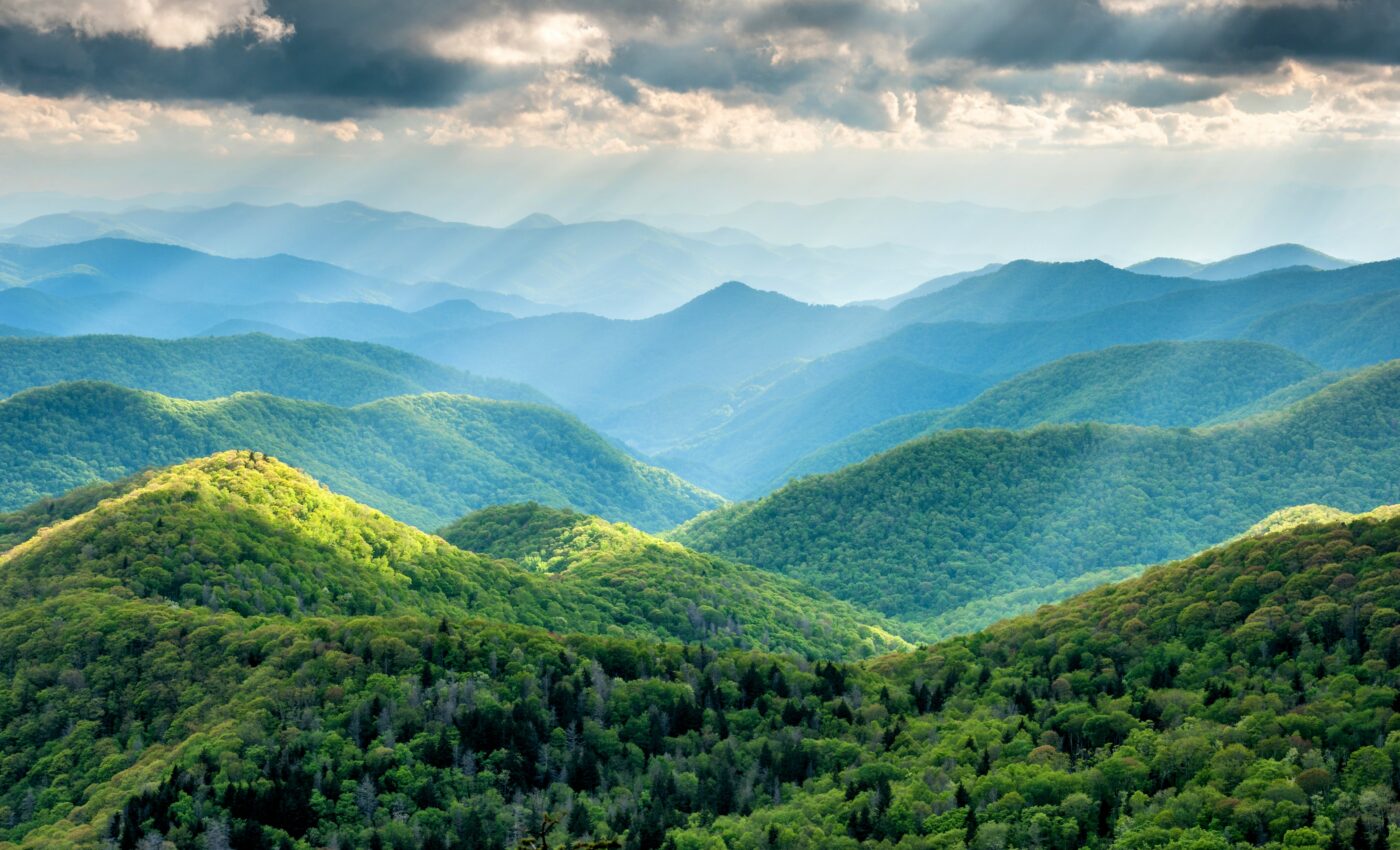 Thirsty mountain forests leave lower elevations with less water