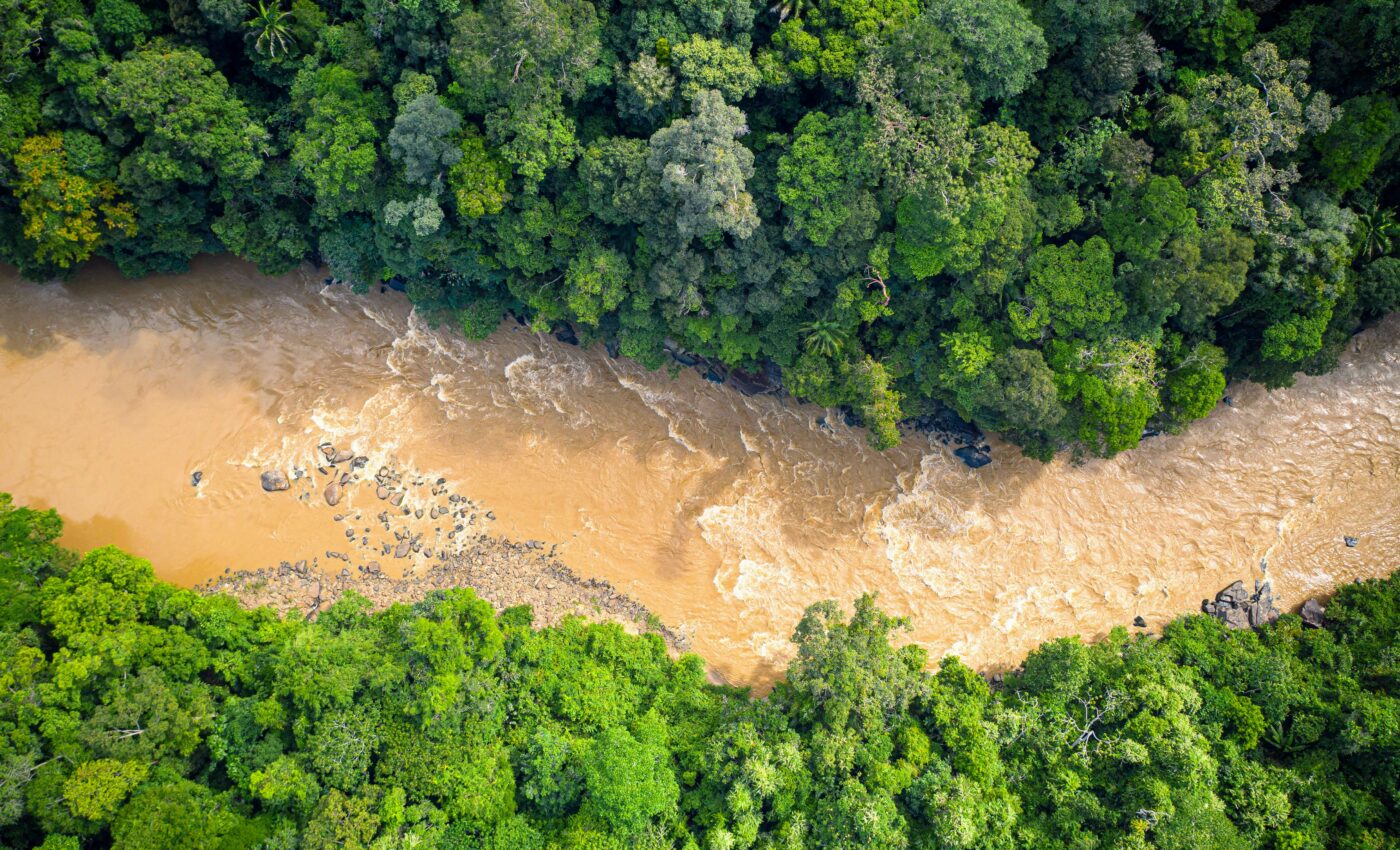 The Tapajos River is polluted by illegal gold mining