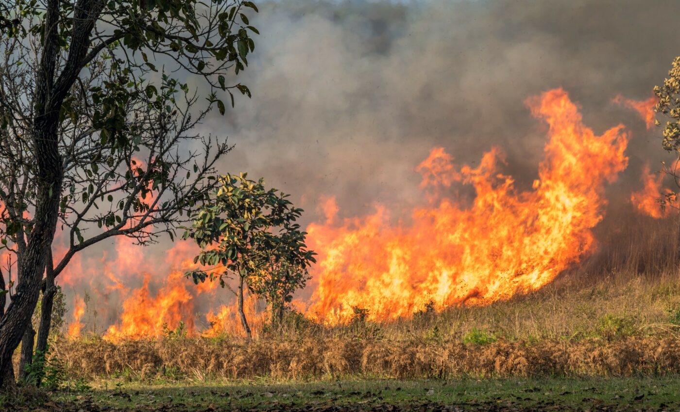 The worst fire disasters are "still to come" in the United States