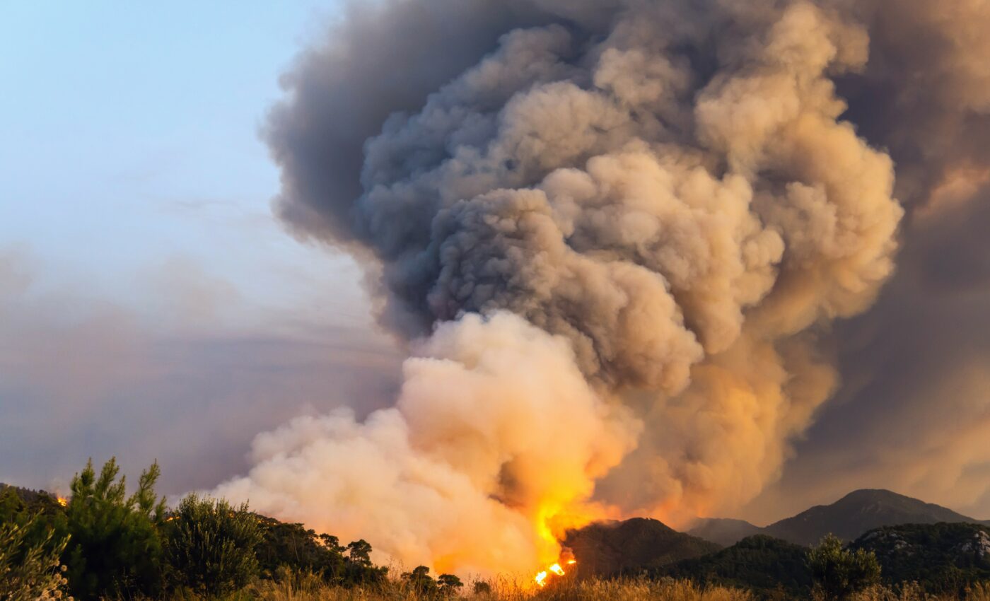 Wildfire smoke damages the ozone layer