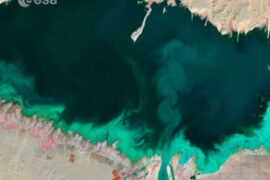 Lake Nasser in southern Egypt