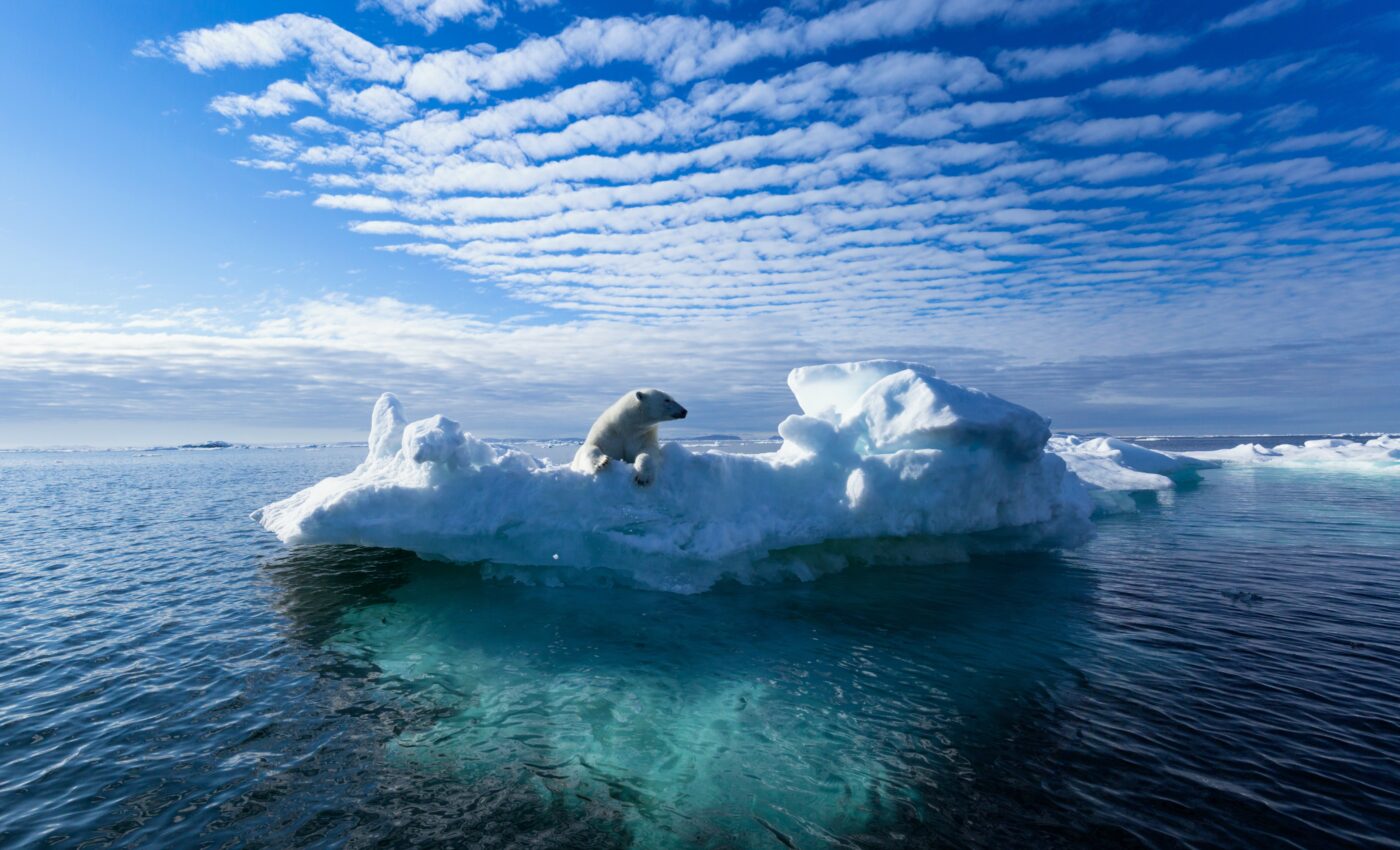 In warmer seas, cold spells are vanishing