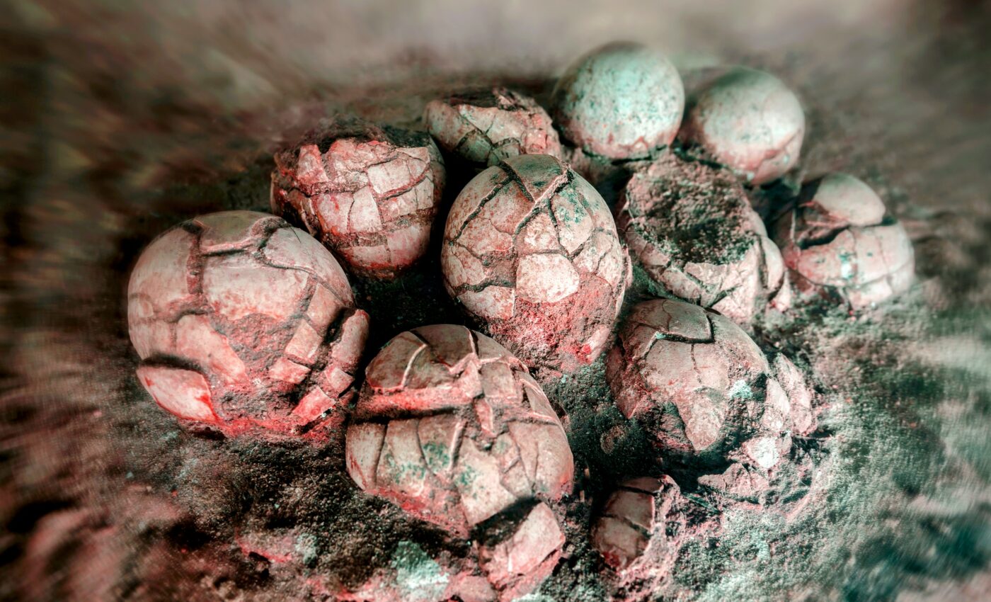 Soil erosion and fire contributed to Triassic mass extinction