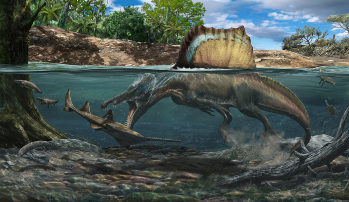 Spinosaurus reveals a link between bone density and hunting underwater