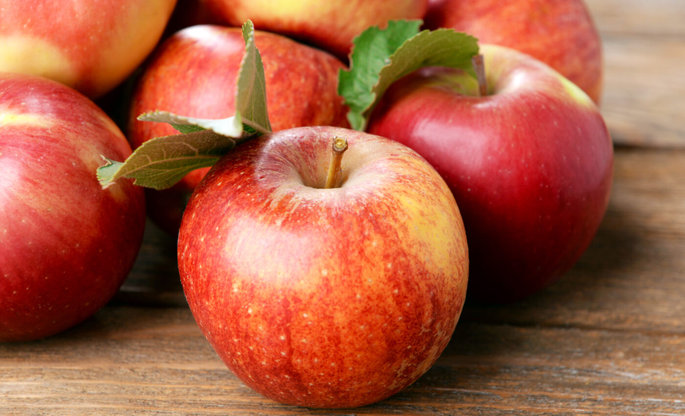 Apples can help store and transmit drug-resistant pathogens