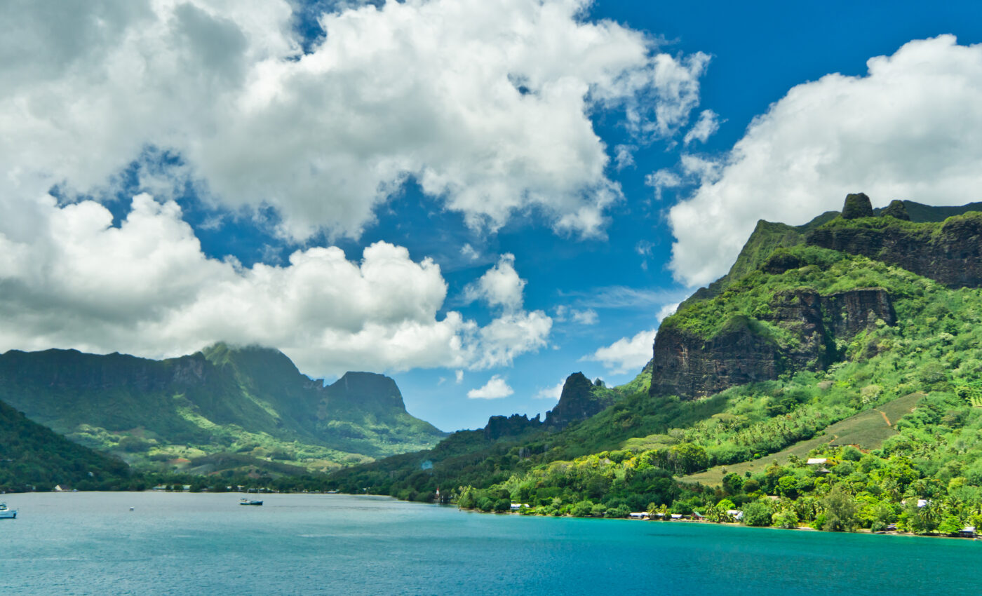 "Treasure trove" of fungi discovered on a South Pacific island