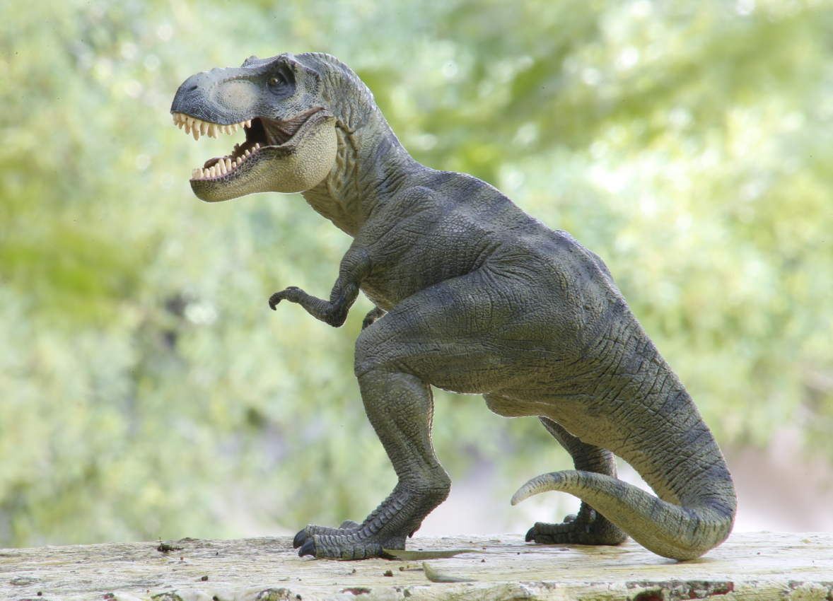 Why are Tyrannosaurus Rex’s arms so short?