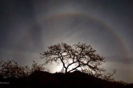 April 2022: a quartet of planets in the morning sky