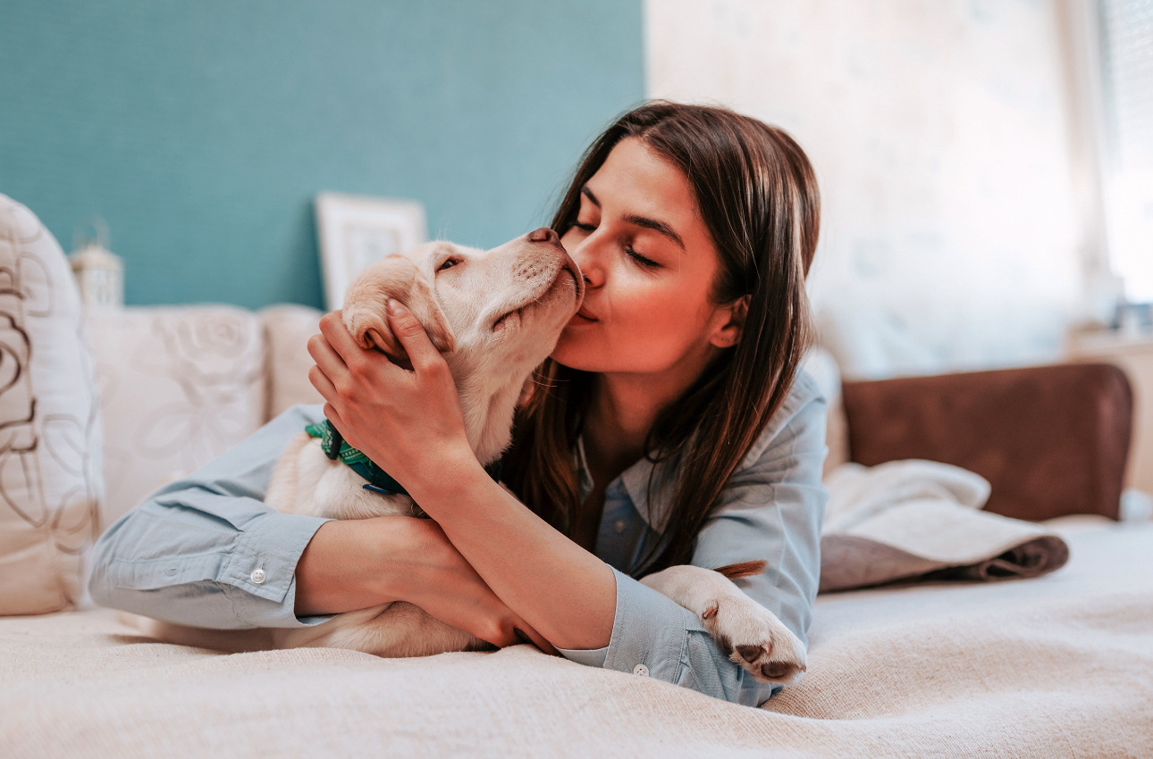 Antibiotic resistant bacteria can jump between healthy pets and owners