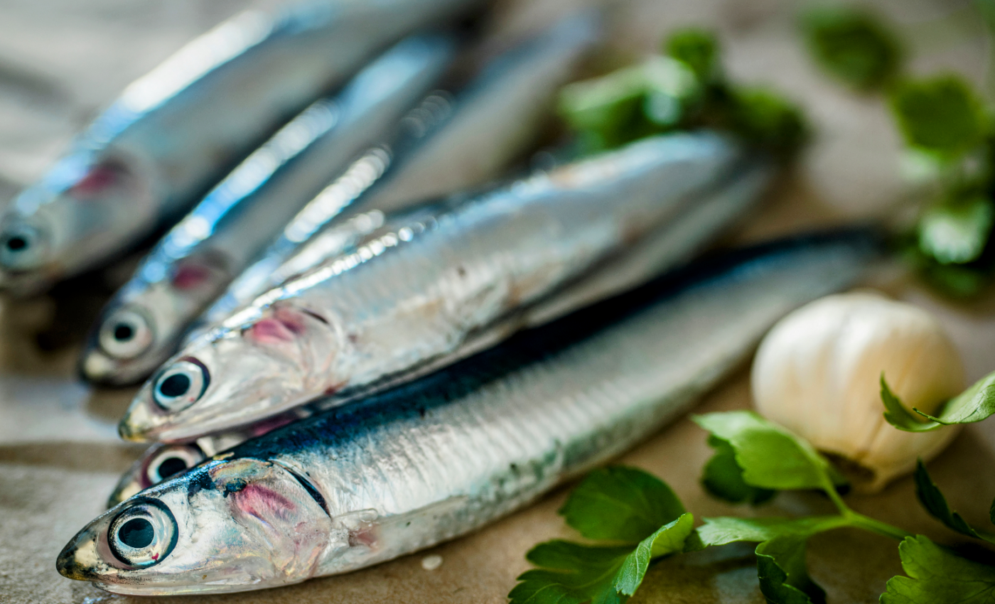 Spawning fish generate ocean mixing, help sustain a healthy ecosystem