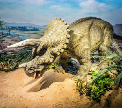 2022/04/Triceratops.png