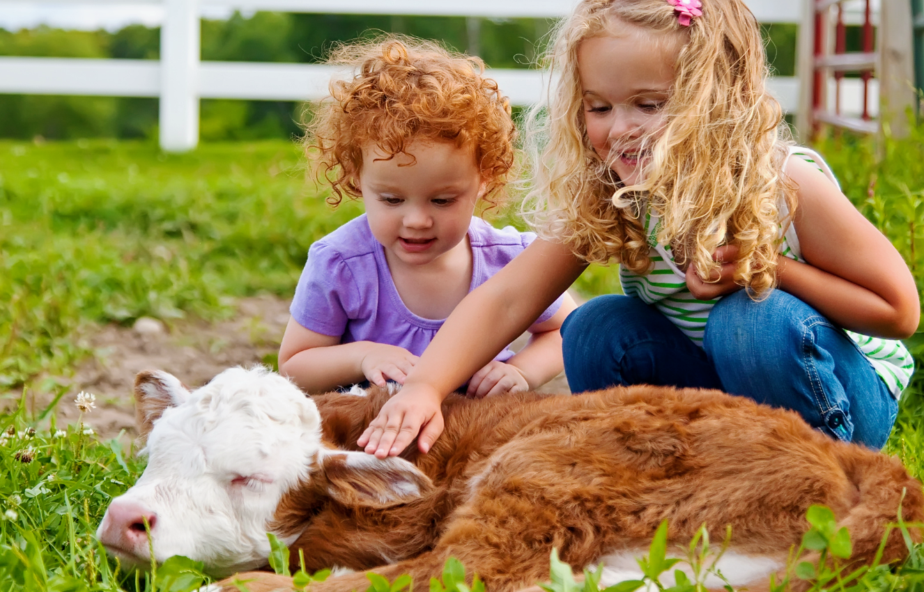 Children are less likely to see farm animals as just “food”