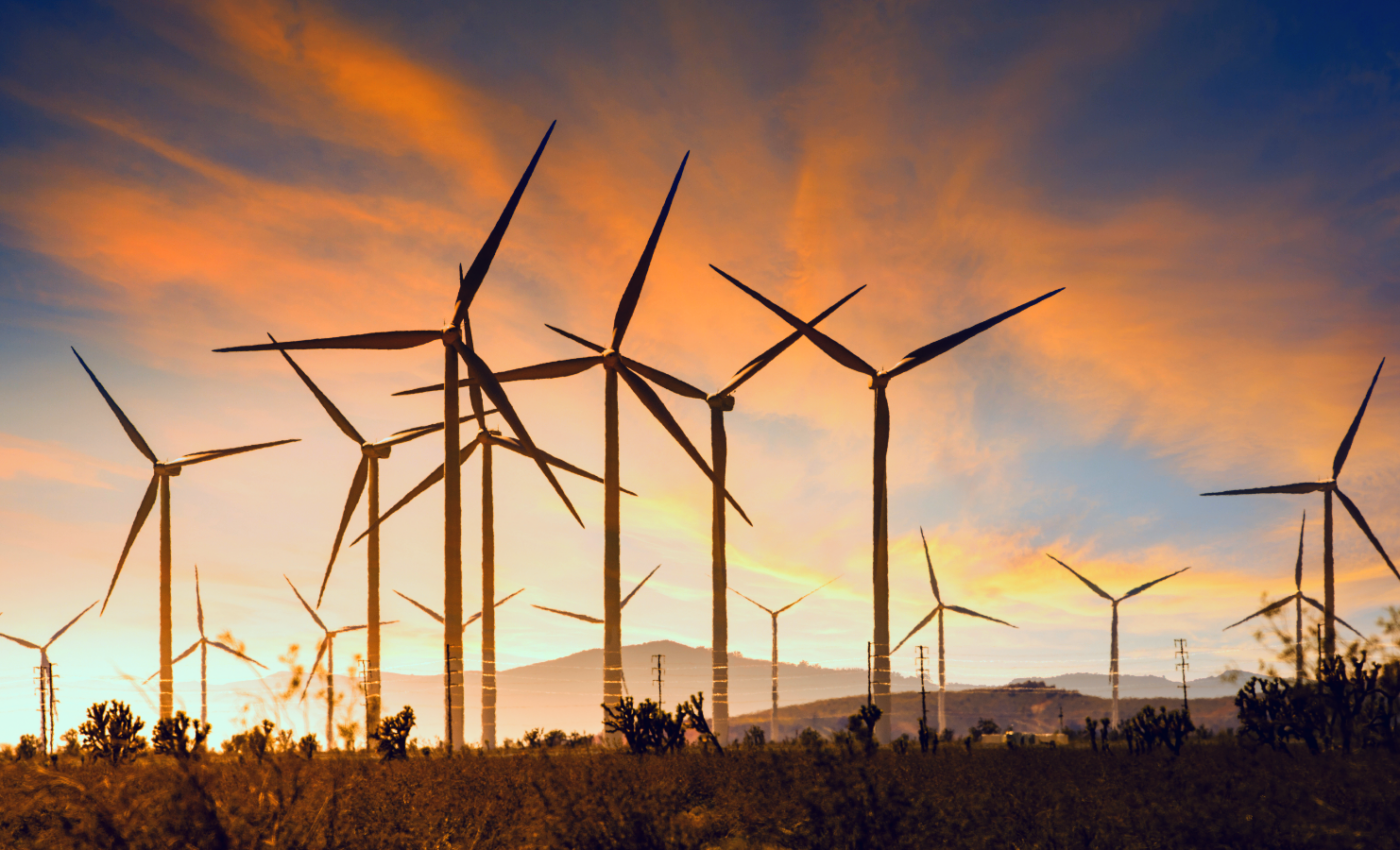 Birds threatened by collisions with green energy infrastructure