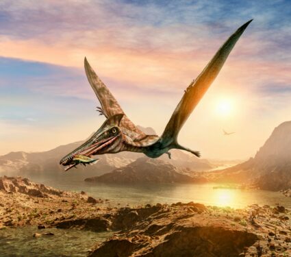 Pterosaurs2.jpg
