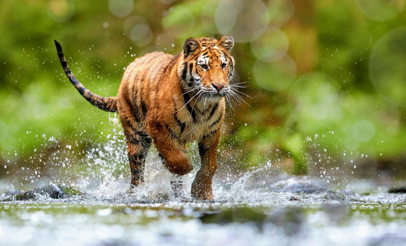 Humans have disrupted 66 million years of ecosystem stability