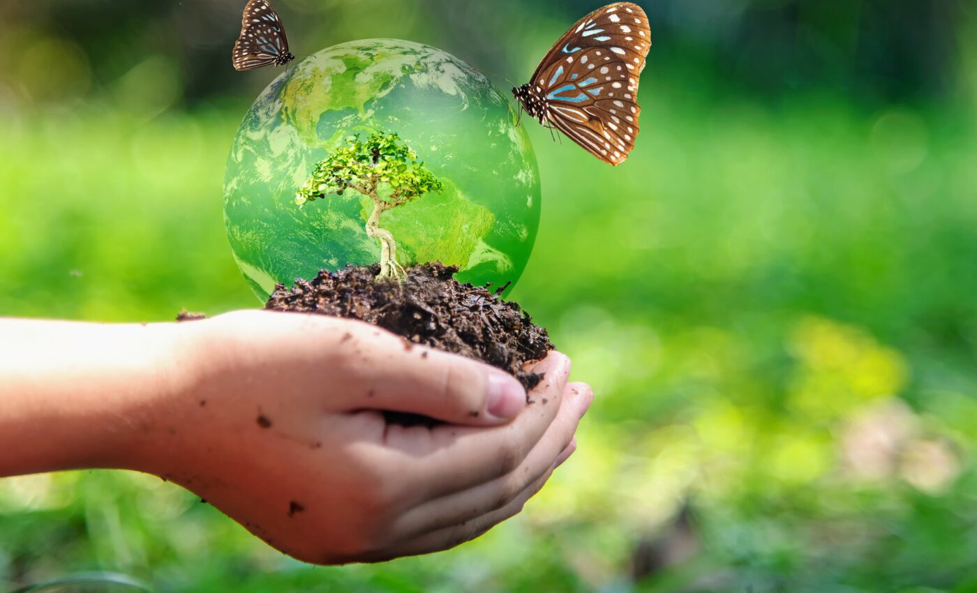 Wildlife conservation can help stabilize the climate