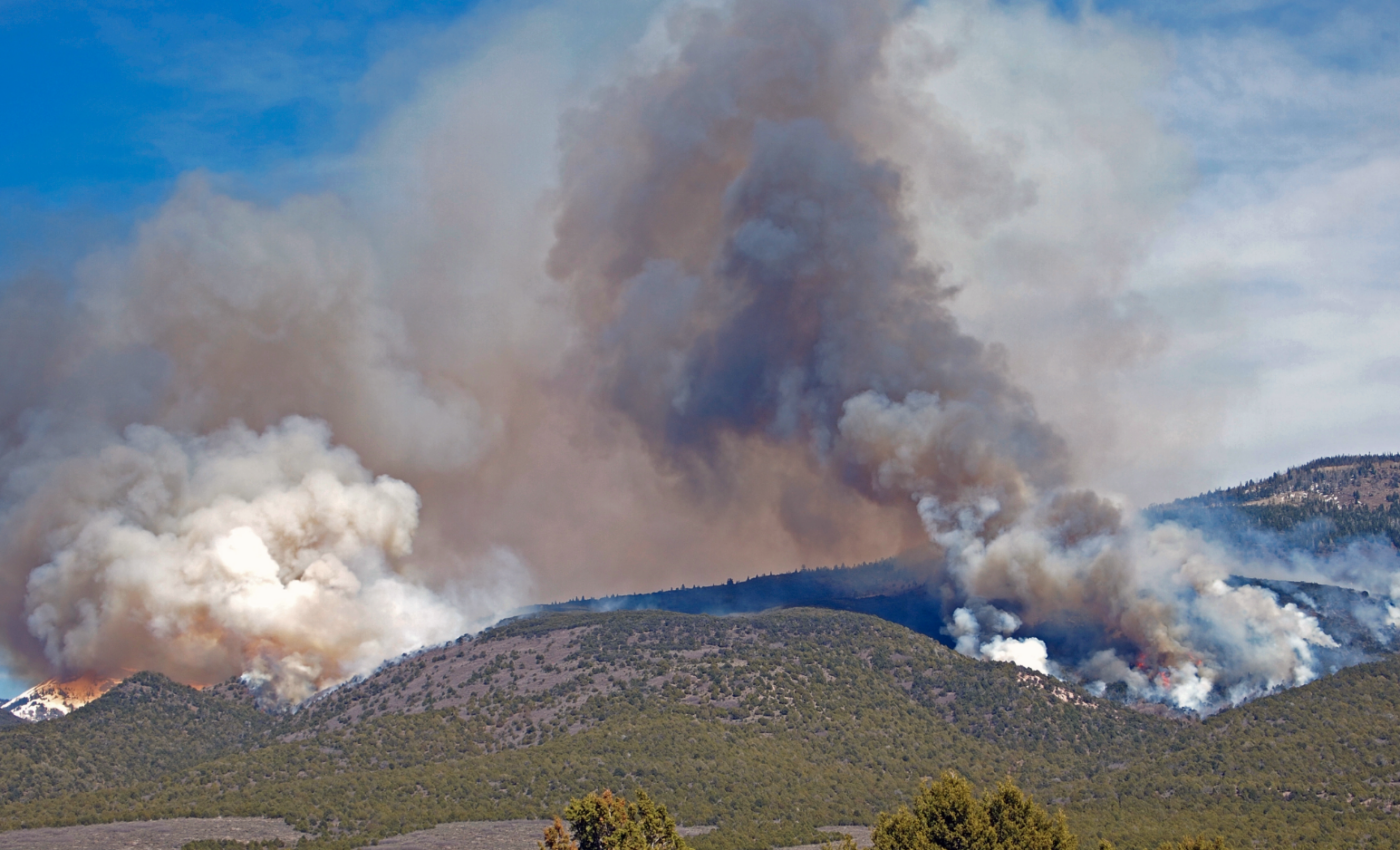 Wildfires will release massive amounts of carbon by mid-century
