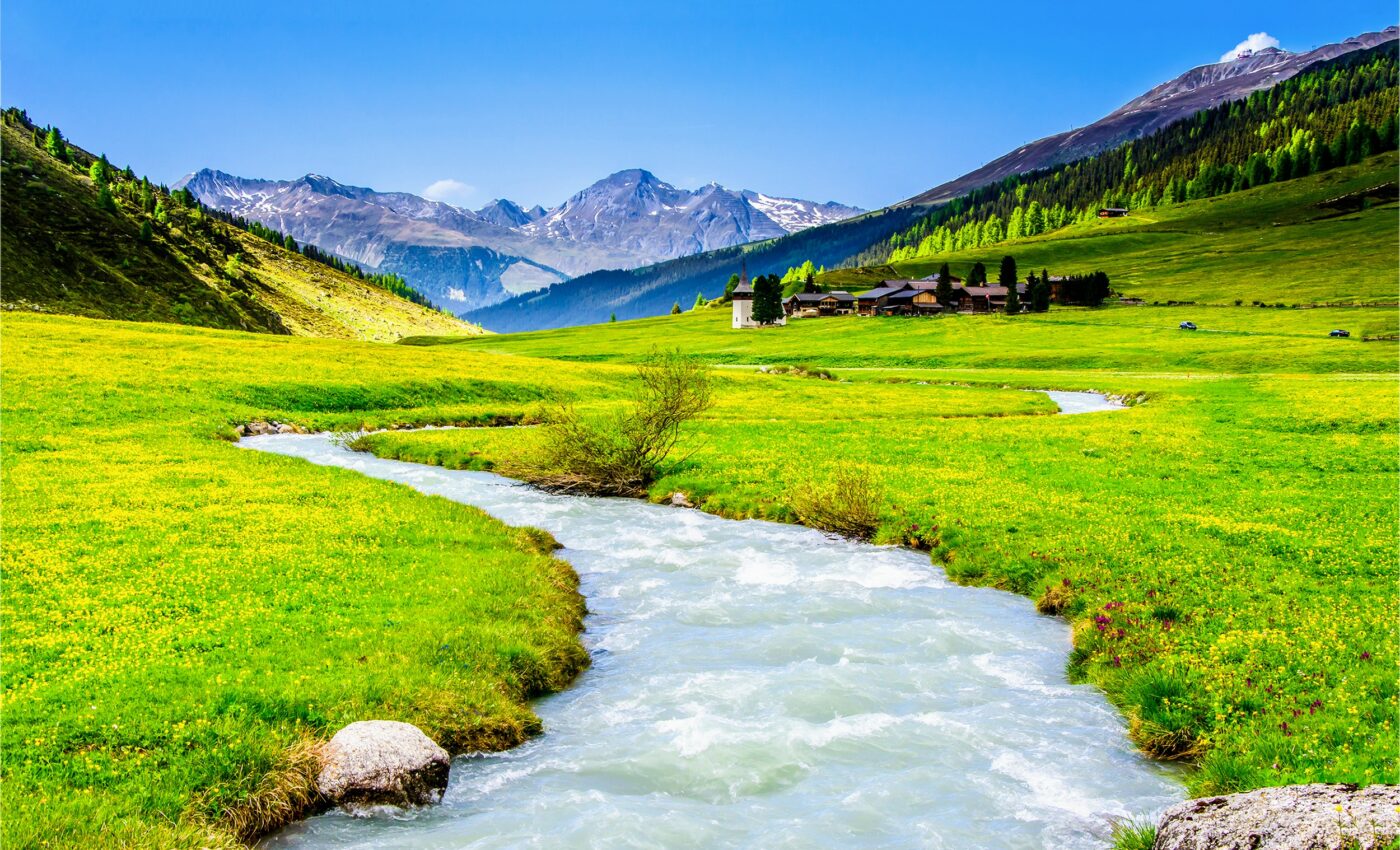 Freshwater habitats help to protect biodiversity