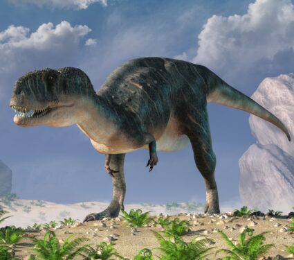 Chenanisaurus,Was,A,Large,Abelisaurid,Dinosaur,,A,Predatory,Carnivorous,Theropod,