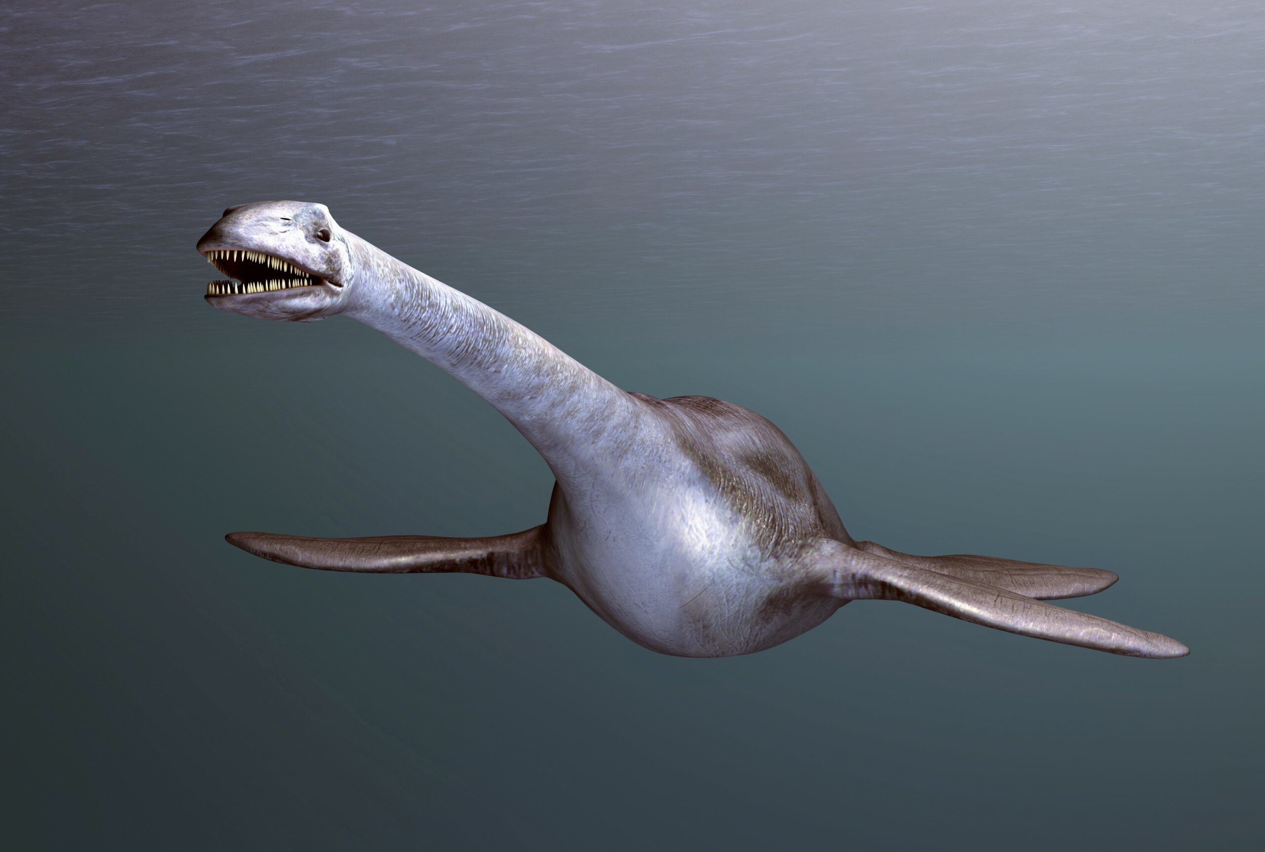 plesiosaurs.jpg