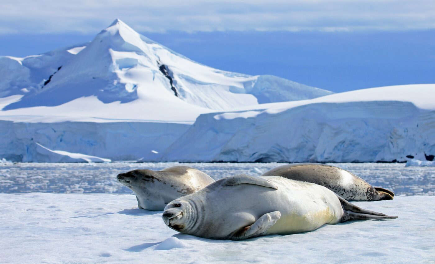 Giant groundwater system discovered beneath Antarctica