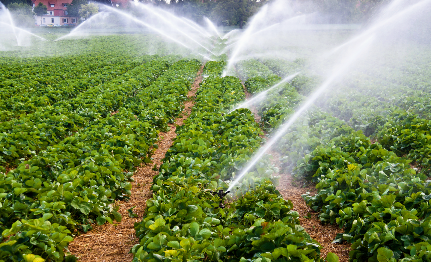 Agricultural water scarcity is about to get much worse