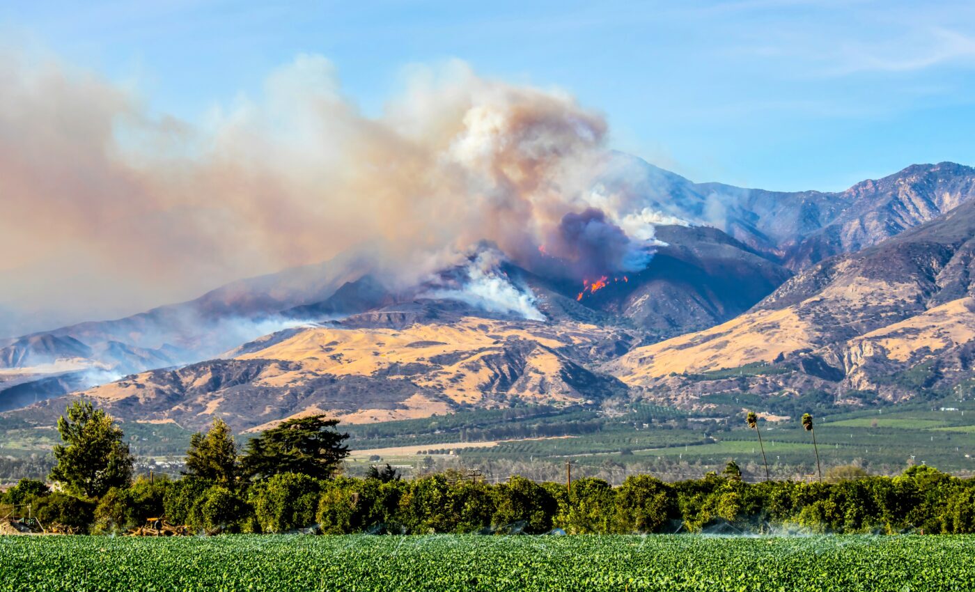 What caused the devastating 2020 fire season in California?