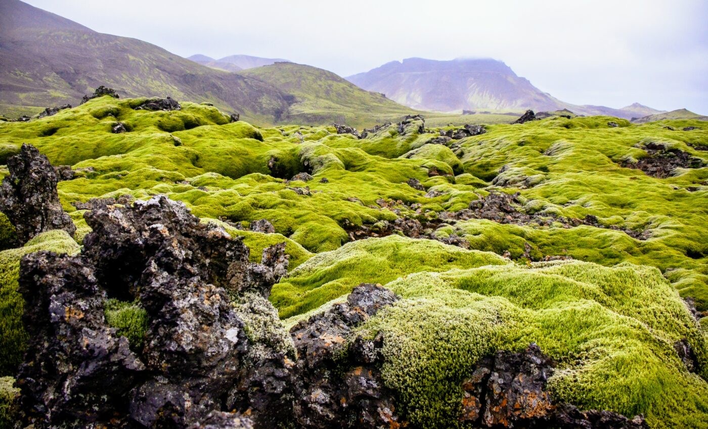 New carbon sinks may be appearing in the Arctic