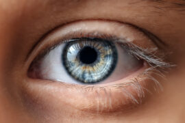 Experts give human eyes new life after death