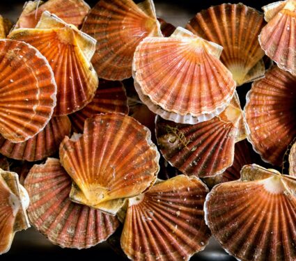 Scallops.jpg