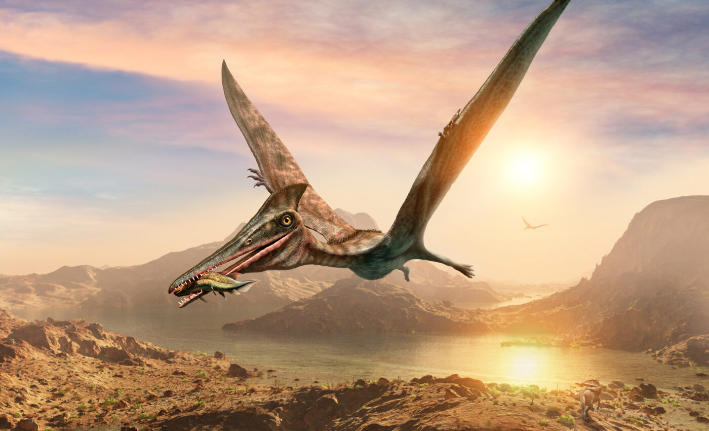 Jurassic Park was wrong about how fast pterosaurs could fly