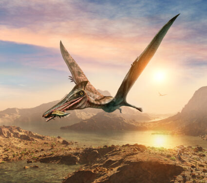 Pterosaur,Scene,3d,Illustration