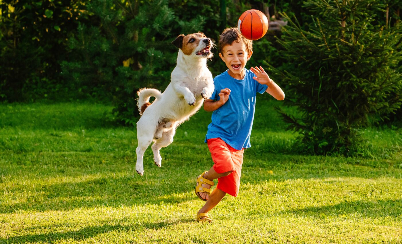 Children with pet dogs have a lower risk of Crohn’s disease