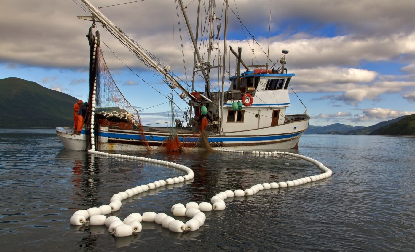Seafood trade takes fish away from malnourished populations