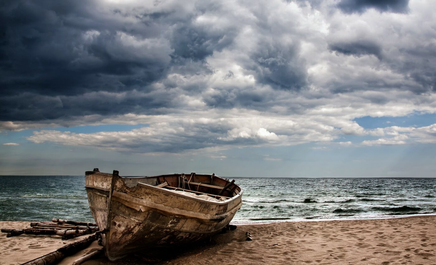 Family of termites has been adrift at sea for 50 million years