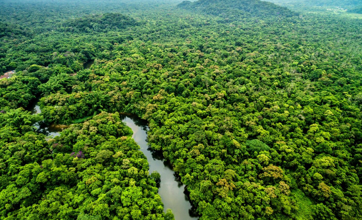 Lost cities in the Amazon were built in harmony with nature