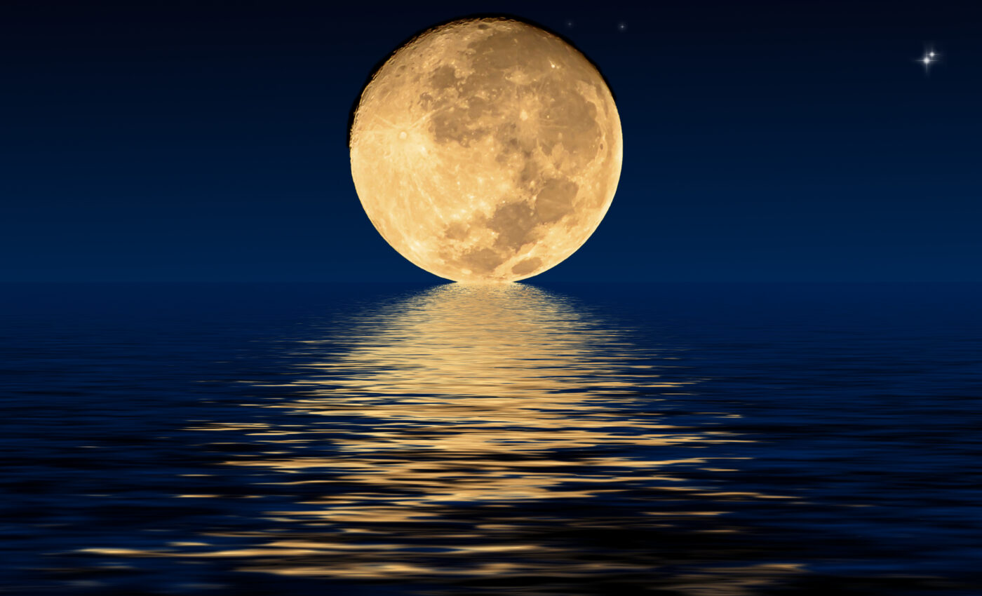 How moonlight affects the circadian clocks of animals