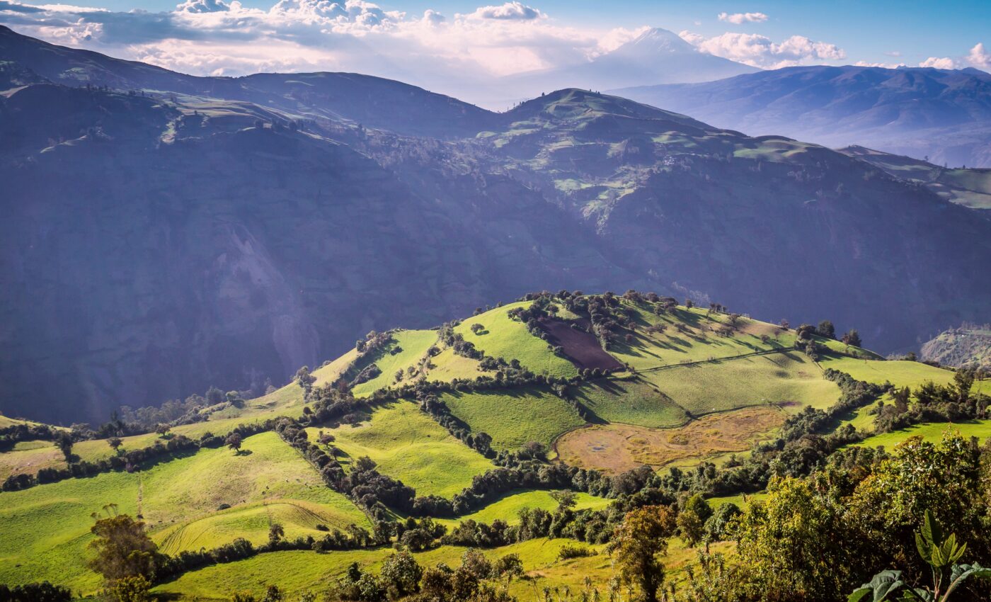 Plants adapt to altitude by sensing oxygen levels