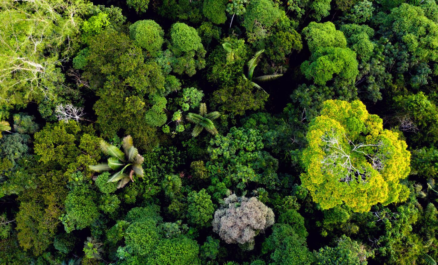 Beta diversity contributes to ecosystem stability