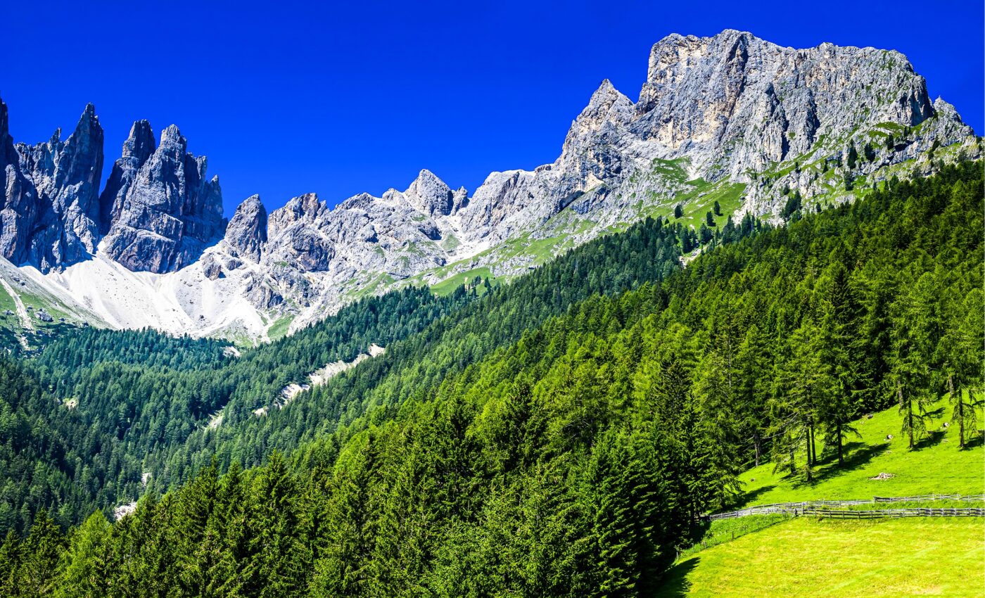 Greening in the Alps is visible from space
