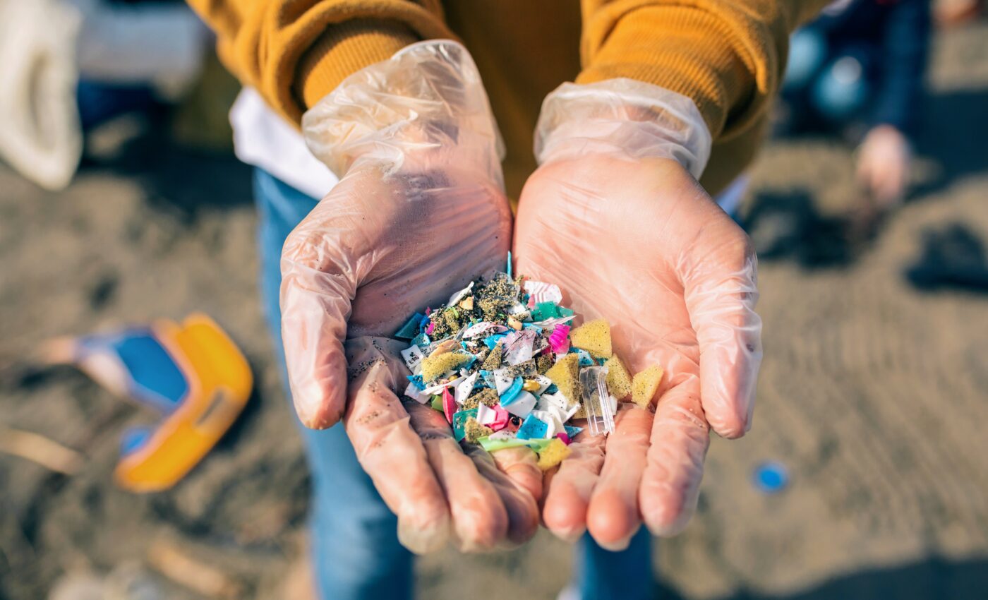 Nanotoxicology could help assess the risks of microplastics