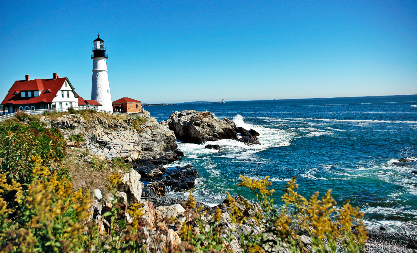 Gulf of Maine has been transformed by warming waters