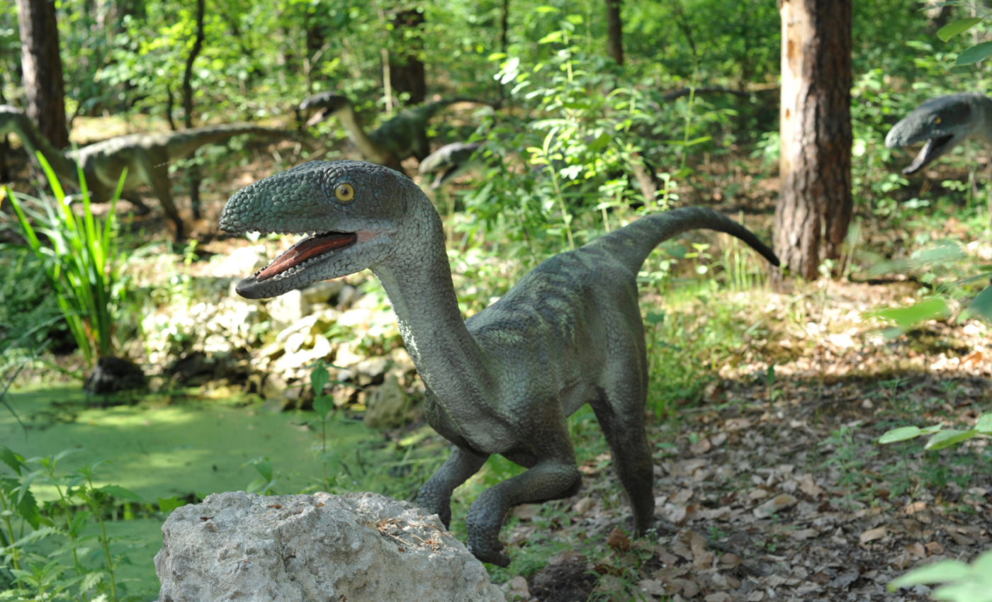 Climate did not impact dinosaur abundance in the Triassic