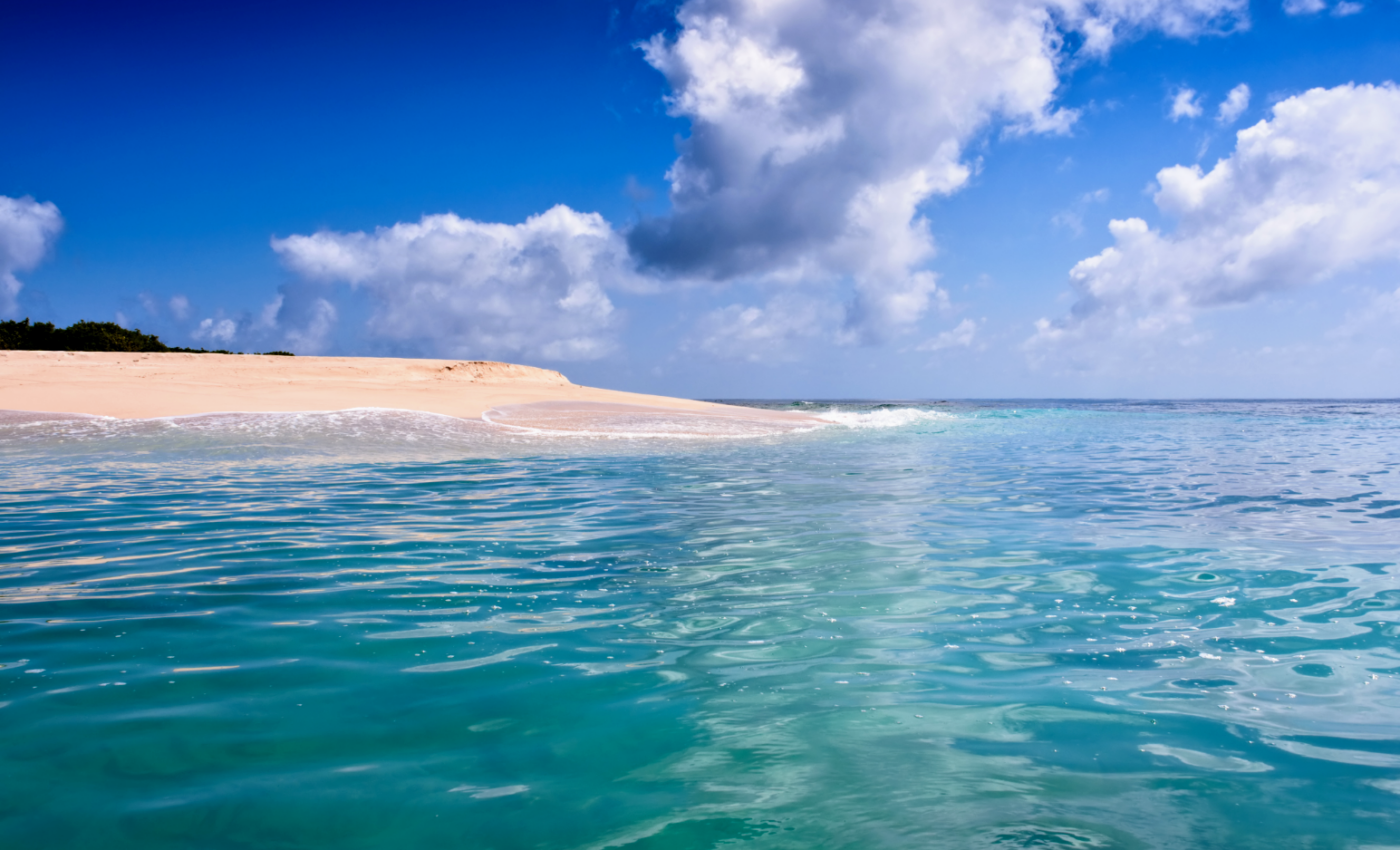 Even the most remote oceans are polluted with microplastics