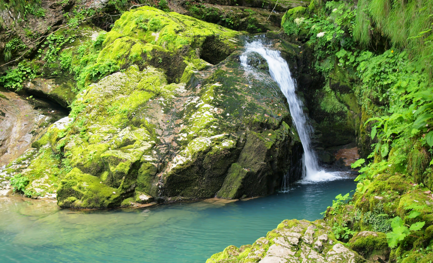 Protecting land is the best tool to address the climate crisis