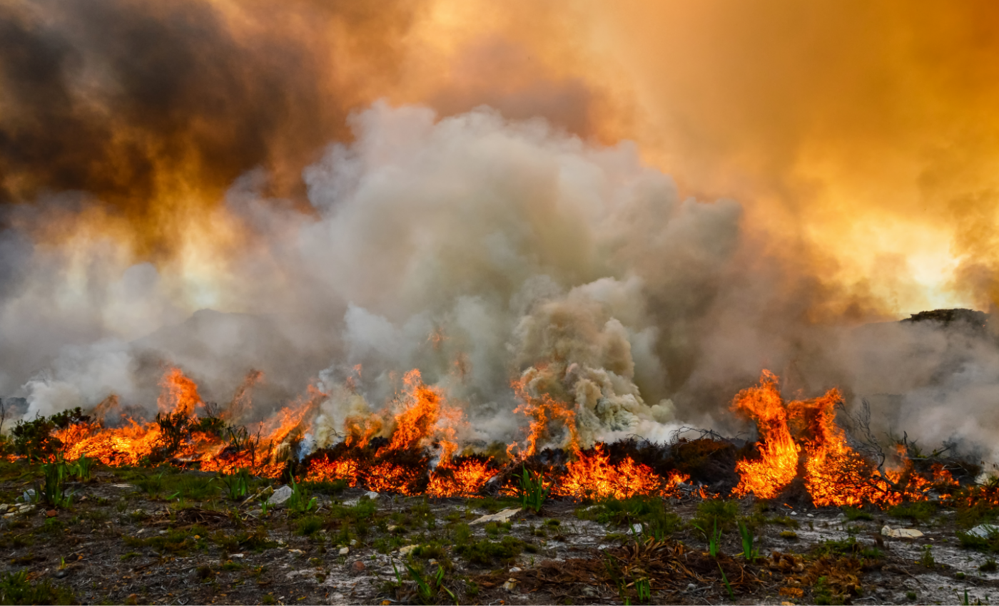 Earliest record of wildfire pushed back by ten million years